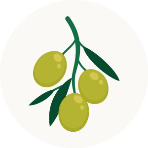 Olive-icon